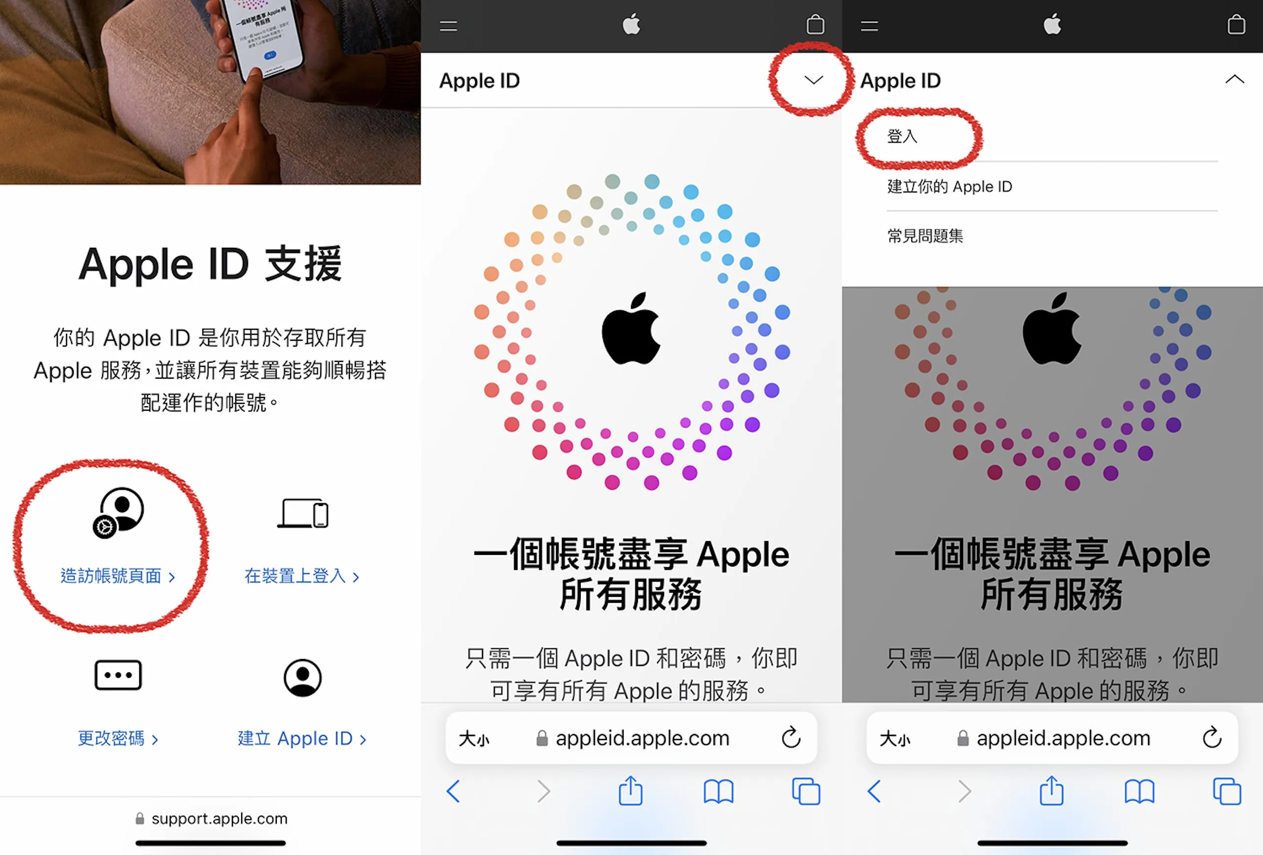 登录 Apple ID