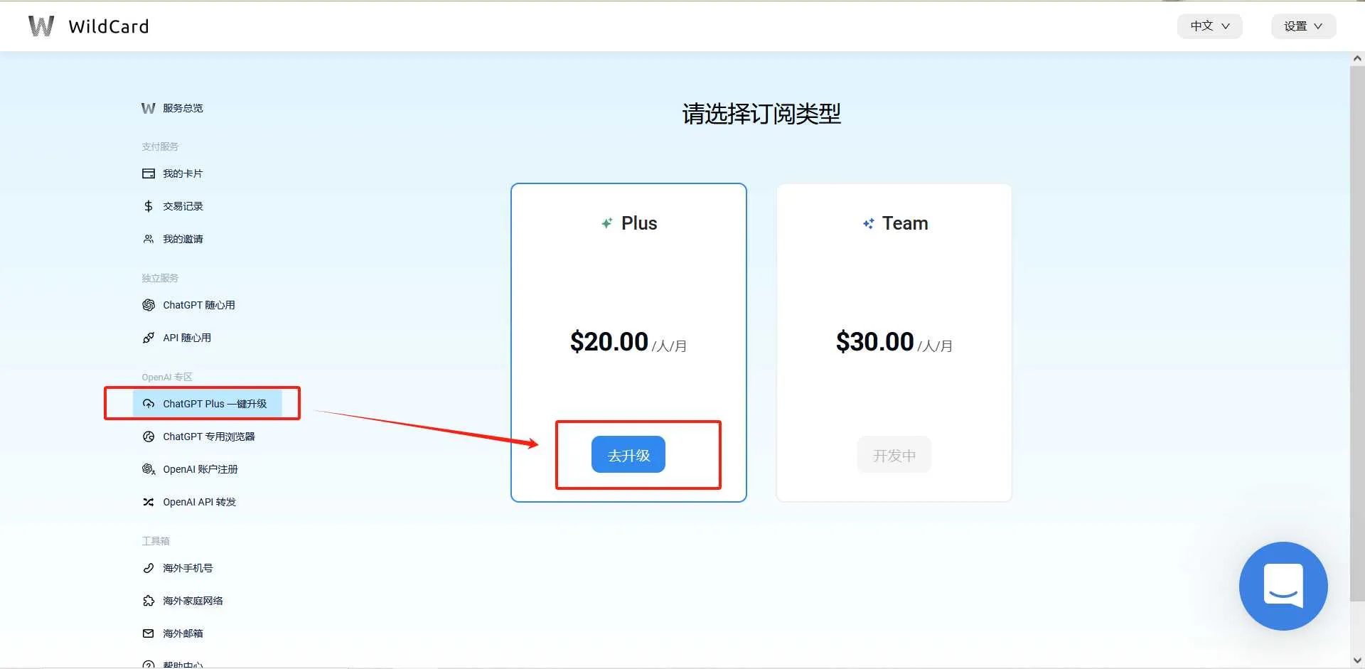 升级 ChatGPT Plus