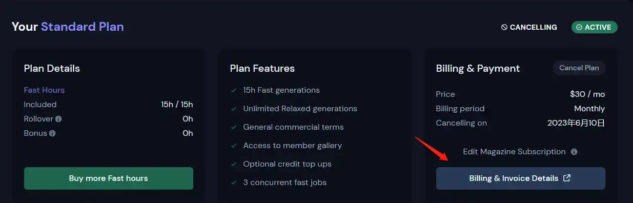 Billing & Invoice Details