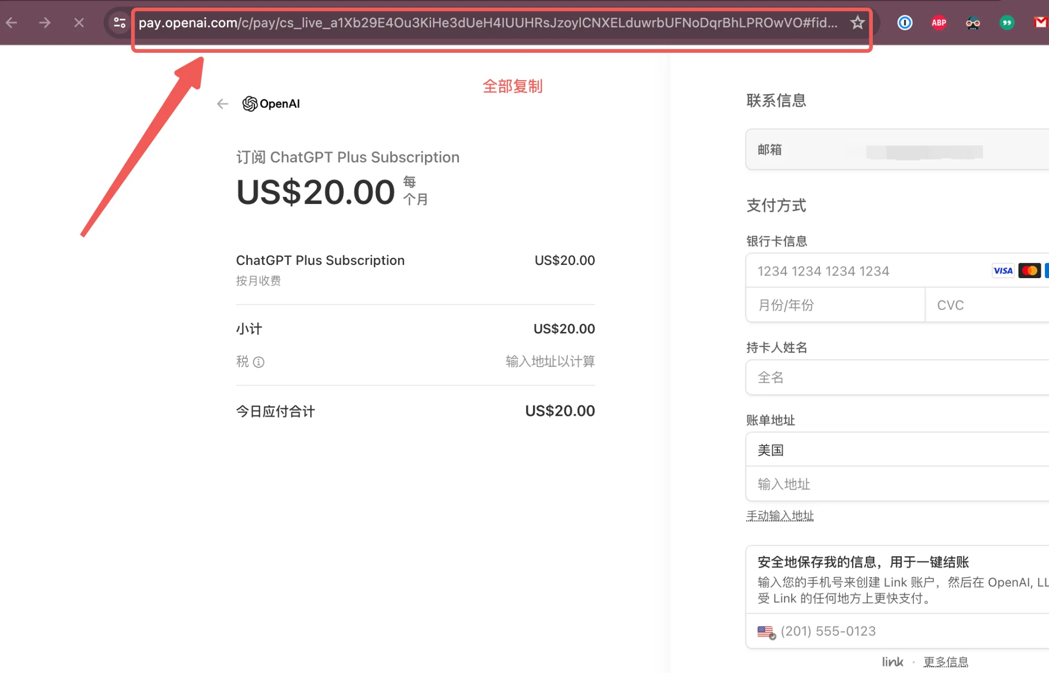 复制支付页面网址