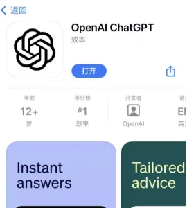 ChatGPT 应用界面