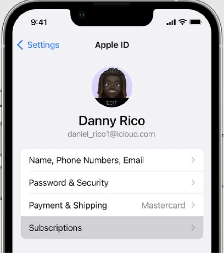 在 iPhone 设置中管理订阅
