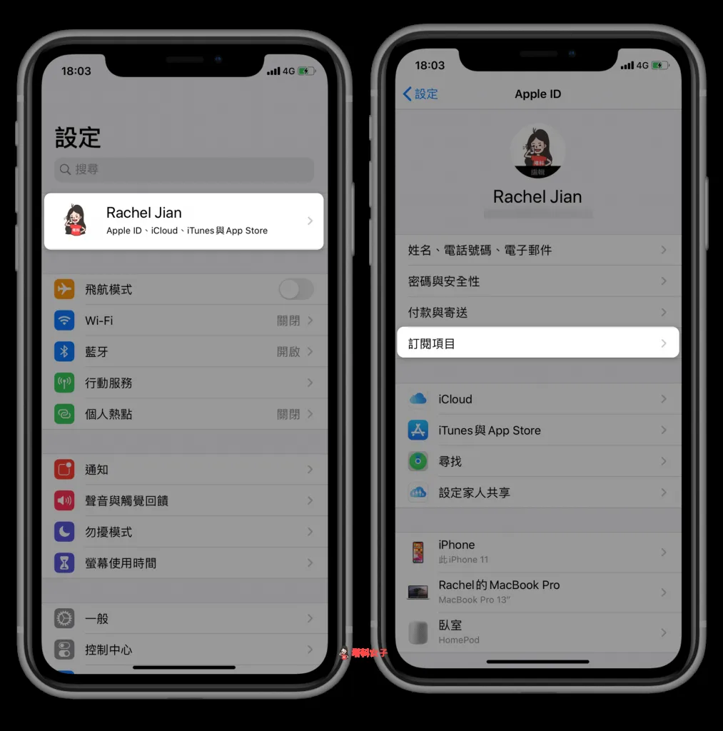 设置 Apple ID 订阅