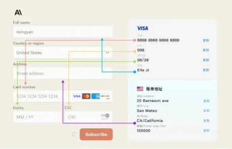 输入虚拟信用卡付款信息