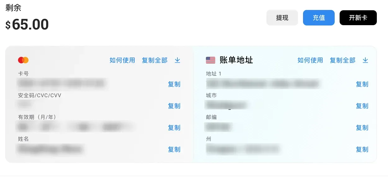查看虚拟信用卡信息
