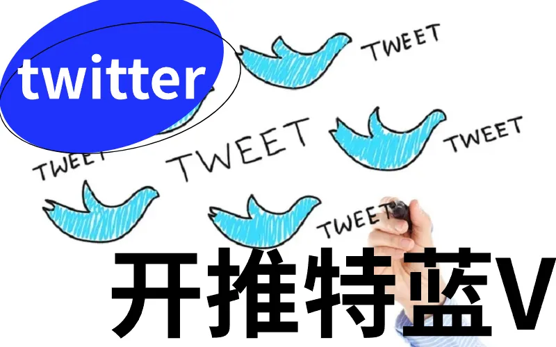Twitter X 蓝V认证条件